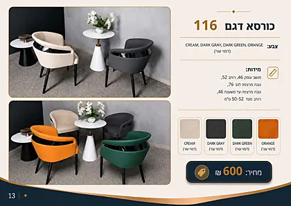 רויה 2026 - עמוד 13